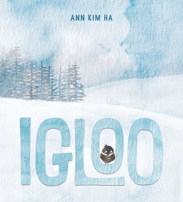 Igloo