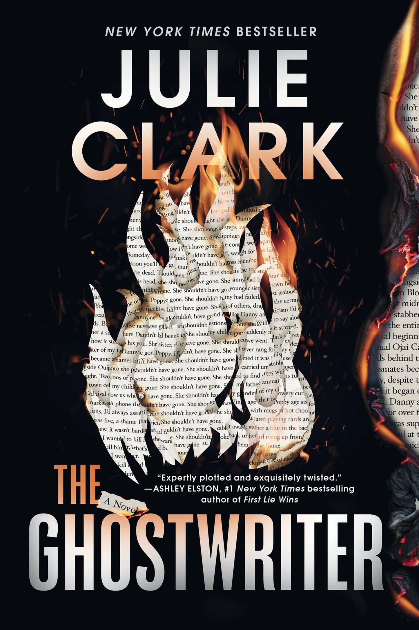 The Ghostwriter (Standard Edition)