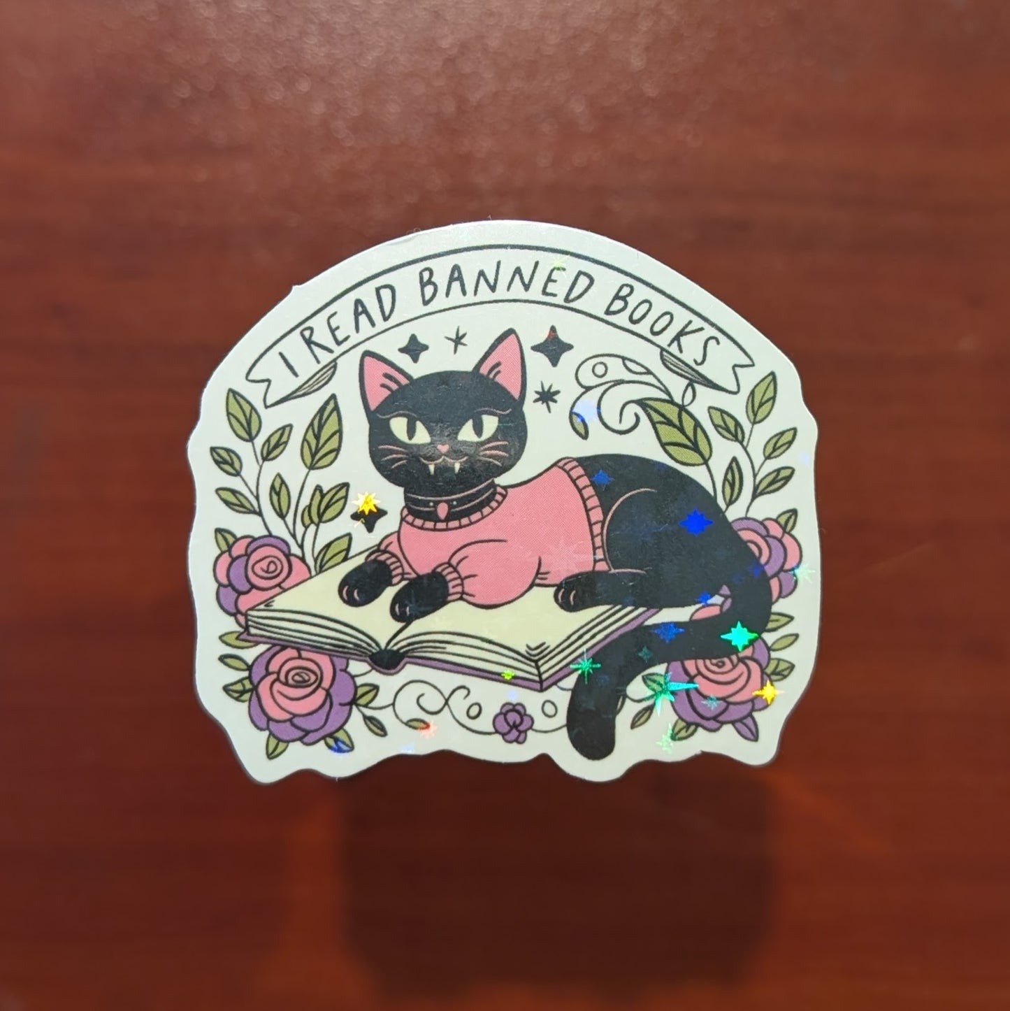 I Read Banned Books Sticker – Black Cat Reading Vinyl Sticker